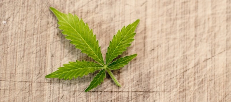 marijuana legalization essay outline