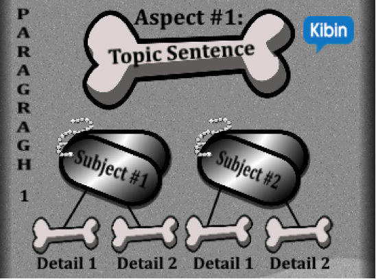 5 paragraph compare and contrast essay template