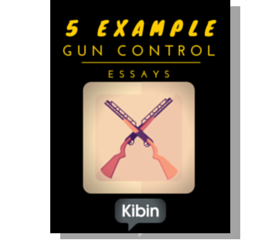 Anti gun control essay