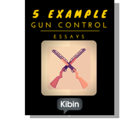 essays on gun control