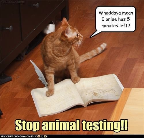 animal testing articles