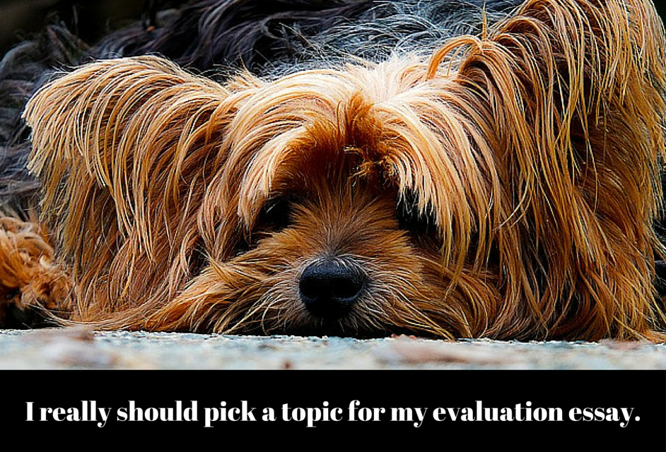 Evaluation Essay Topic Ideas | Essay Topics, Problem