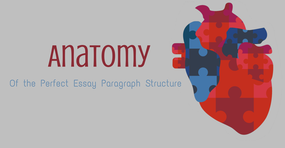Perfect essay structure