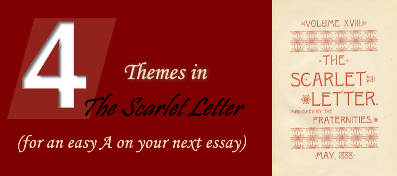 theme of checkouts essay theme of checkouts essay