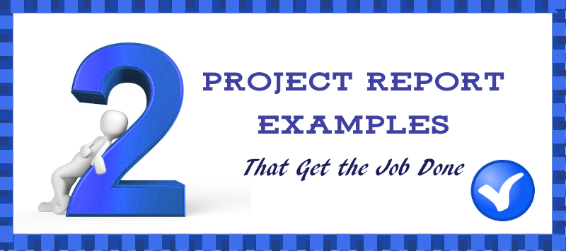 project report examples