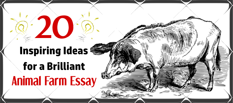 animal farm essay course hero