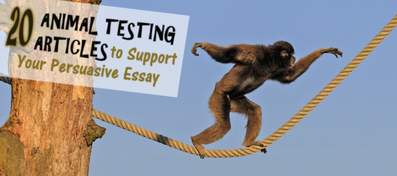 Persuasive essay animal testing