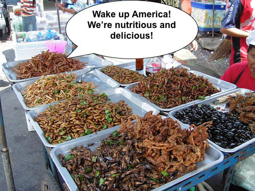 edible insects in food stall