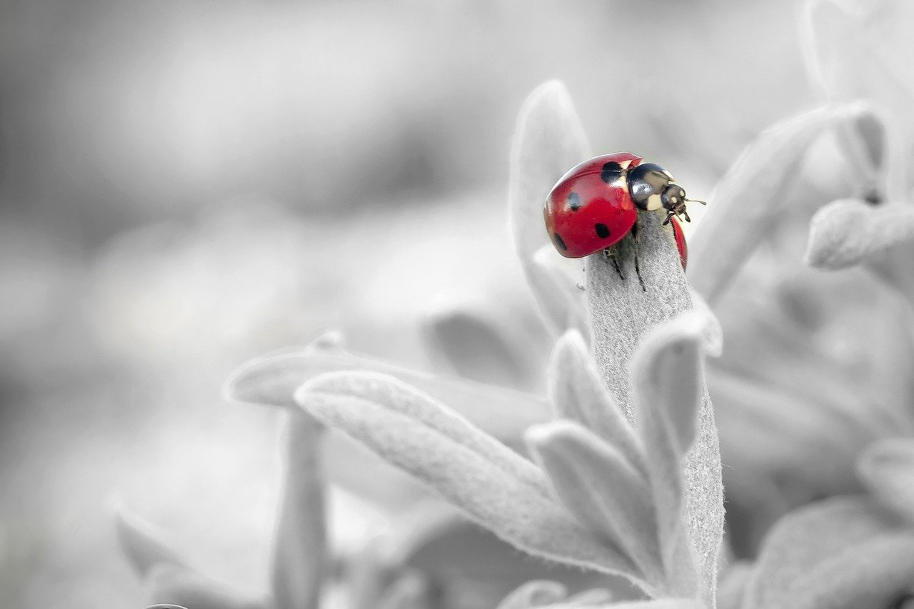 8 Nature Vs Nurture Articles To Support Your Persuasive Essay