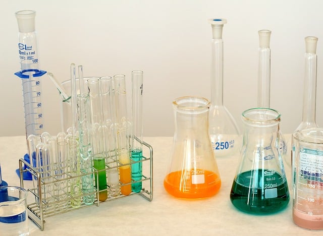 beakers, test tubes set up for science experiment