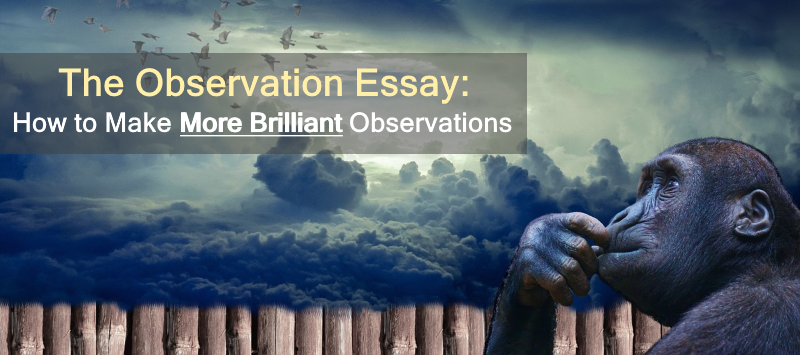 Writing Help Online Science In Daily Life Essay also Higher English Reflective Essay The Observation Essay How To Make More Brilliant Observations Science And Religion Essay
