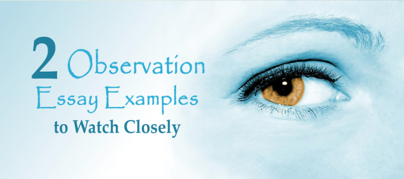 Observational essay examples