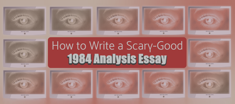 Help with 1984 essay