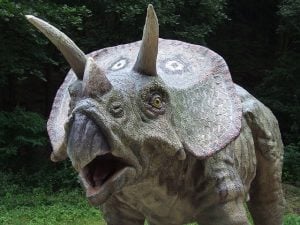 triceratops with mouth open, confused about writing a report