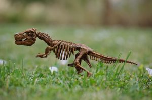 model of a dinosaur skeleton