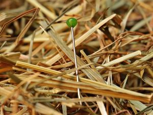 close-up of a needle in a haystack