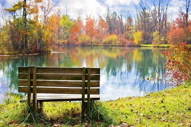 peaceful bench overlooking lake and fall foliage